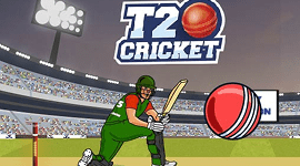 T20 cricket game